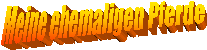 Meine ehemaligen Pferde